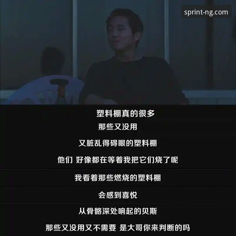 沉浸式观赛 vs 传统浏览：阿根廷大胜背后的细节，哪个更过瘾？